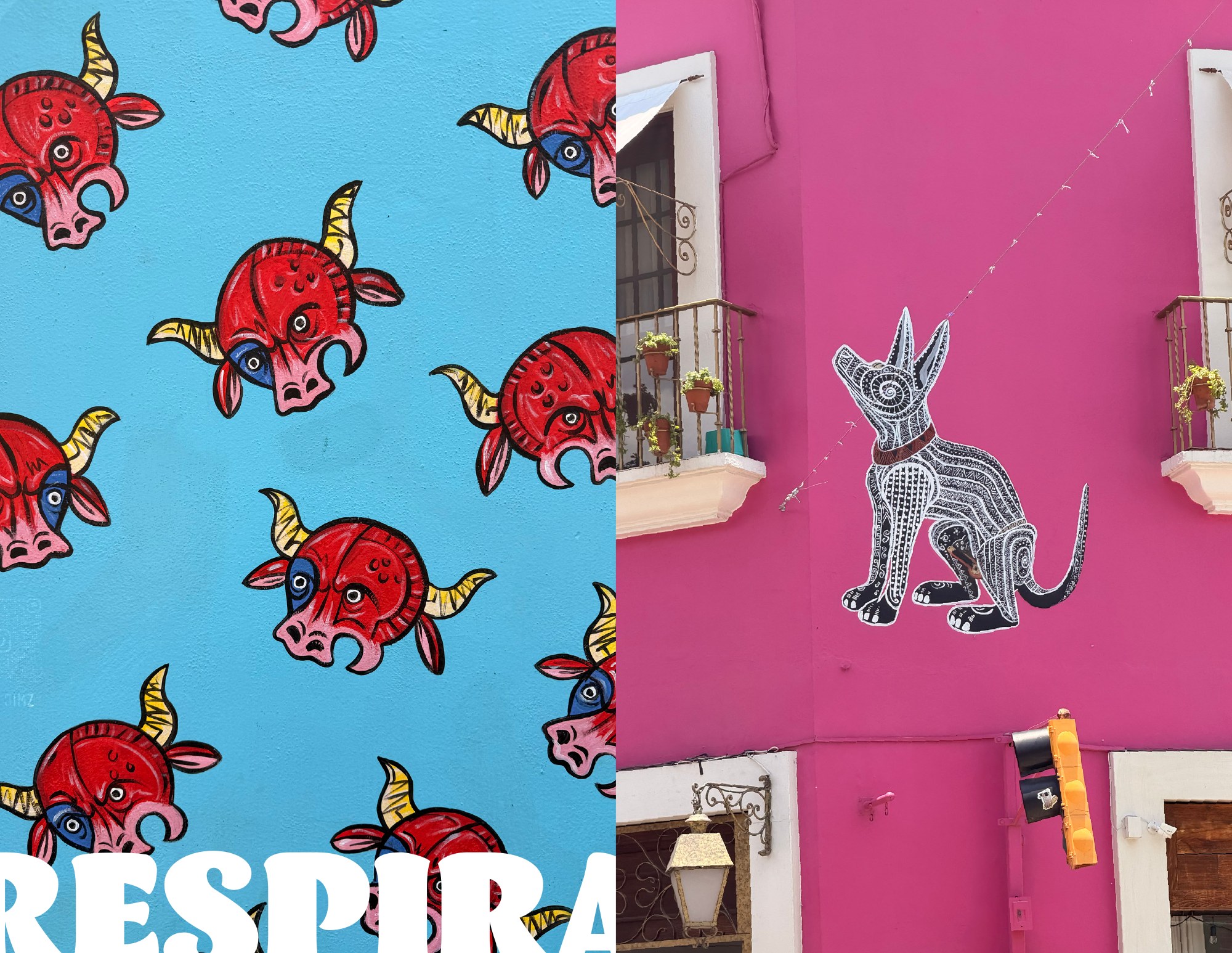 OAXACA spread with bright blue and pink walls and the word Respira